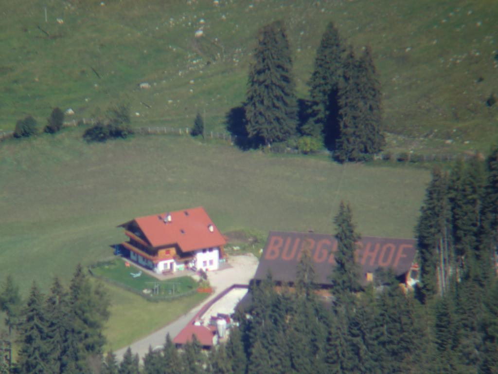 Burgerhof Apartment Santa Maddalena in Casies